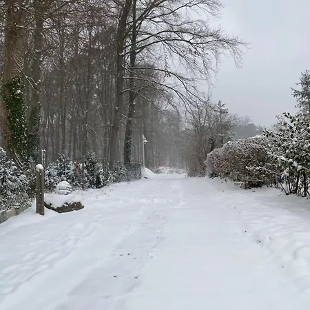 Parkresidenz Concordia 12 Mit Sauna Und Terrasse