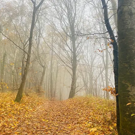 Parkresidenz Concordia 12 Mit Sauna Und Terrasse Apartament Sellin (Rugen)