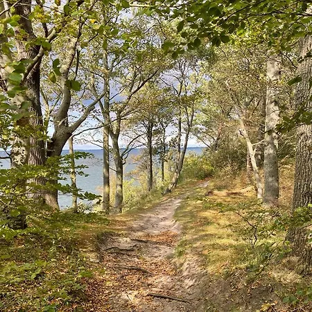 Parkresidenz Concordia 12 Mit Sauna Und Terrasse Apartament *