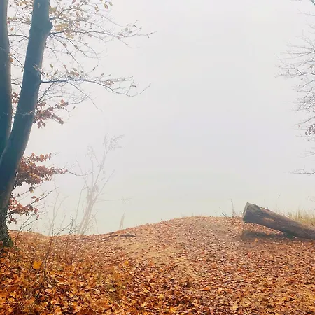Parkresidenz Concordia 12 Mit Sauna Und Terrasse 아파트 *