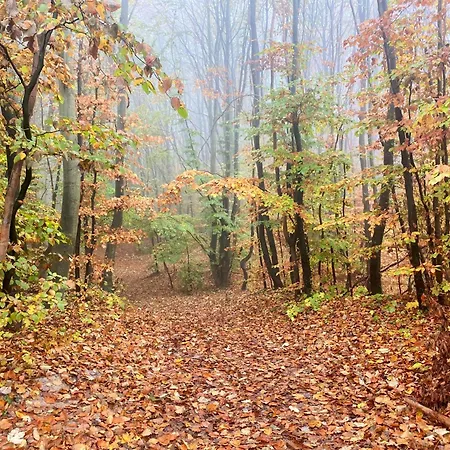 Parkresidenz Concordia 12 Mit Sauna Und Terrasse Sellin (Rugen)