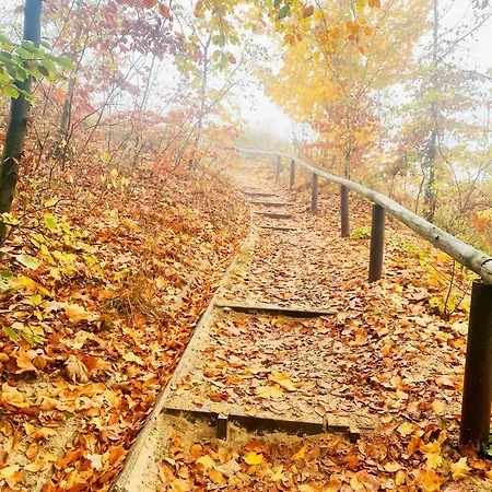 Parkresidenz Concordia 12 Mit Sauna Und Terrasse