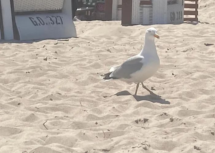 Parkresidenz Concordia 12 Mit Sauna Und Terrasse