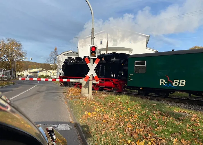 Parkresidenz Concordia 12 Mit Sauna Und Terrasse 公寓 Sellin (Rugen)