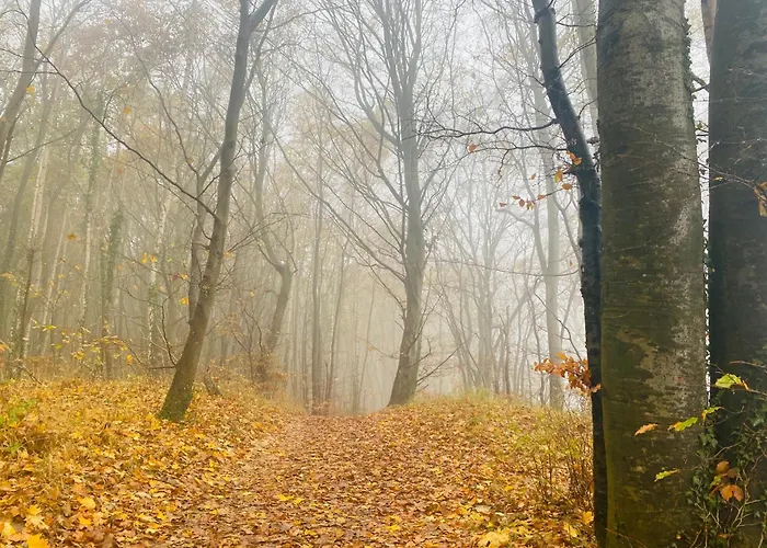 Parkresidenz Concordia 12 Mit Sauna Und Terrasse 公寓 Sellin (Rugen)
