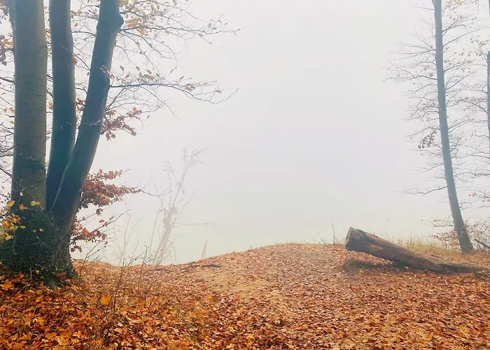 Parkresidenz Concordia 12 Mit Sauna Und Terrasse 公寓 *