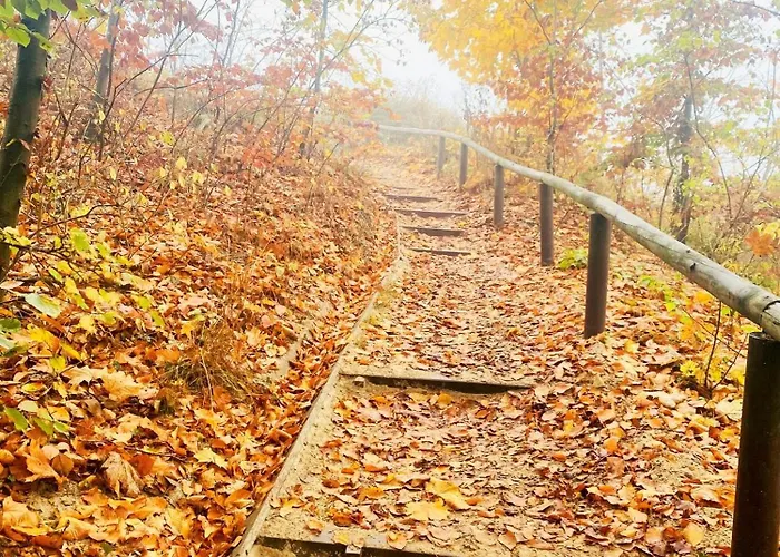Parkresidenz Concordia 12 Mit Sauna Und Terrasse